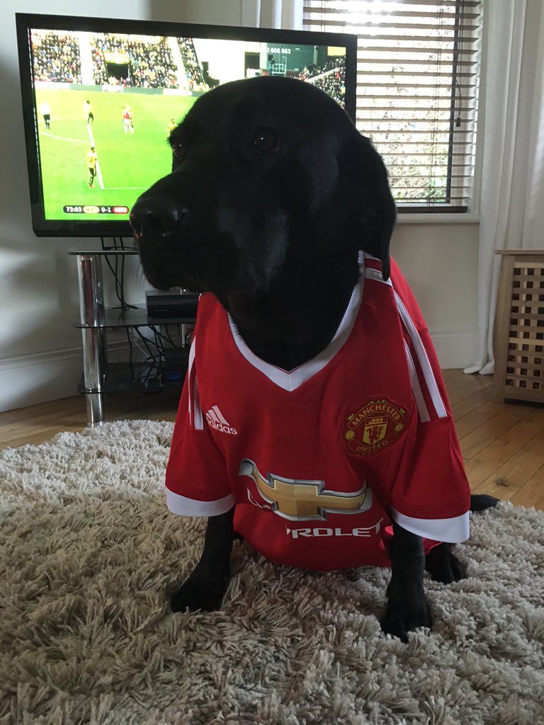 rathlin's tweet photo. @ManUtd enjoying the game https://t.co/roZh2qDp6h
