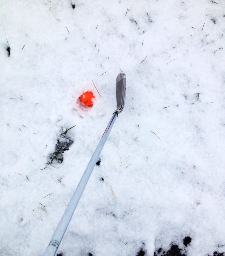 michigantaxpro's tweet image. Good thing I used my orange golf ball this morning... LOL #michigangolfing #chippingpractice #golfchat