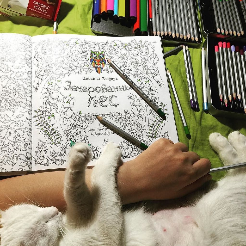 джоанна бэсфорд таинственный сад книга для творчества и вдохновения джоанна бэсфорд таинственный сад книга для творчества и вдохновения