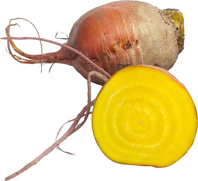 De prachtige gele bietjes van De Lepelaar lijken de zon wel te hebben opgesloten.