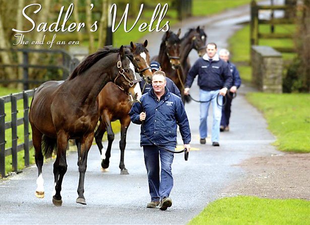 Sadler's Wells leads his sons Galileo,Montjeu &amp; High Chaparral for a walk around Coolmore #NationalJockeyDay