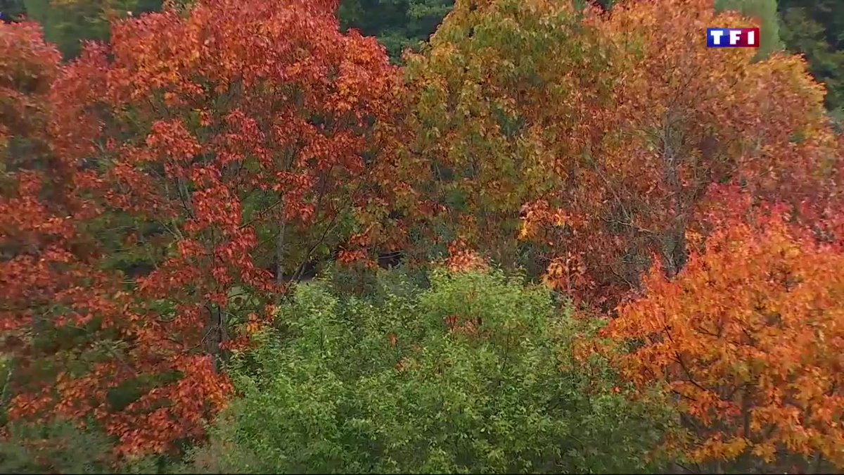 nievre_tourisme's tweet photo. Merci à @TF1 pour son beau reportage sur le Lac des Settons : https://t.co/TieMvQ0Aot #Automne #Bourgogne #Nievre https://t.co/Z1RYFF7MO9