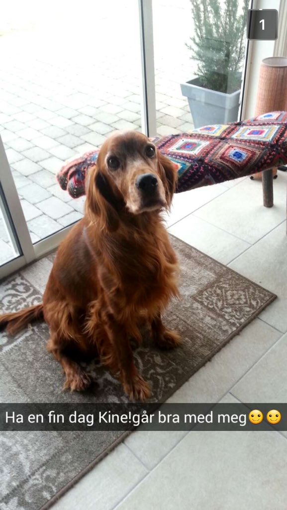 peppakine's tweet photo. Det beste er å få snap av mamma når man er borte! https://t.co/aNFHN2FRhD