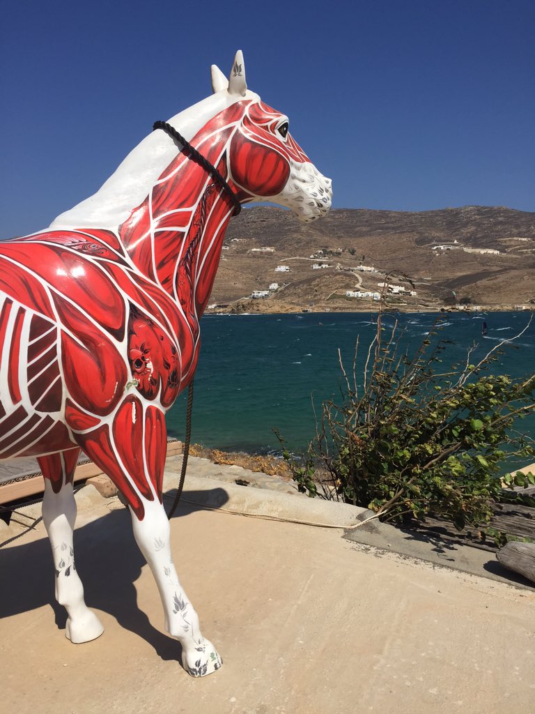 MarcoIovi's tweet photo. #cavallo #pazzo #Mykonos https://t.co/JEsqHcNzFZ