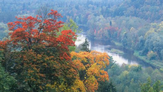 Livonnijas's tweet image. 