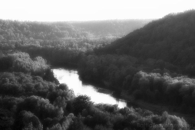 Livonnijas's tweet image. 