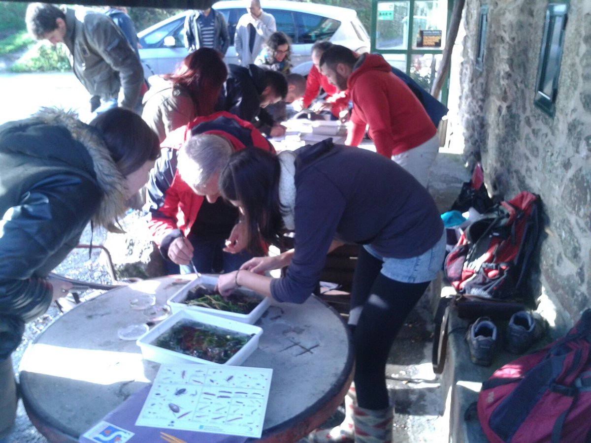 proxecto rios tweet media