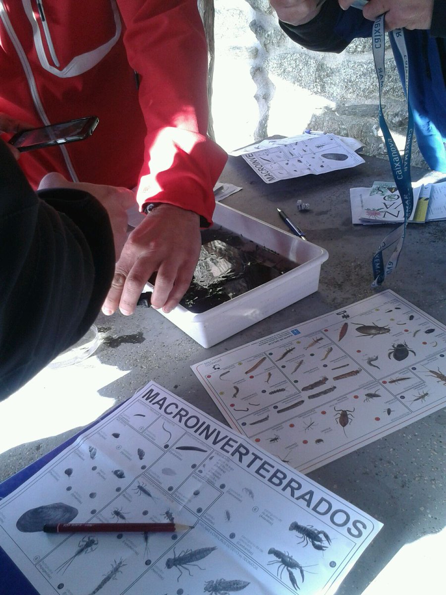 Saída formativa no rio Sarela coa UNED