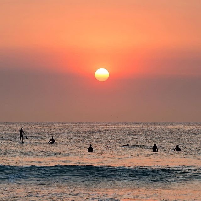 Australia tweet media