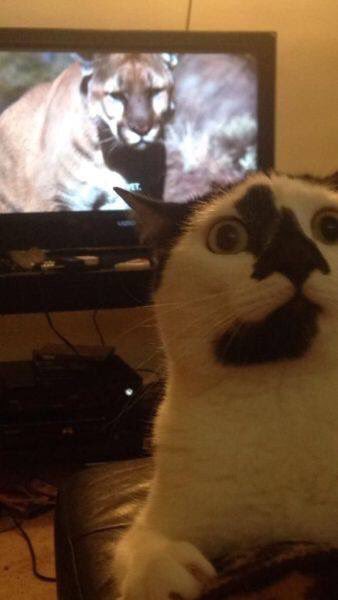 deepzuera's tweet image. 