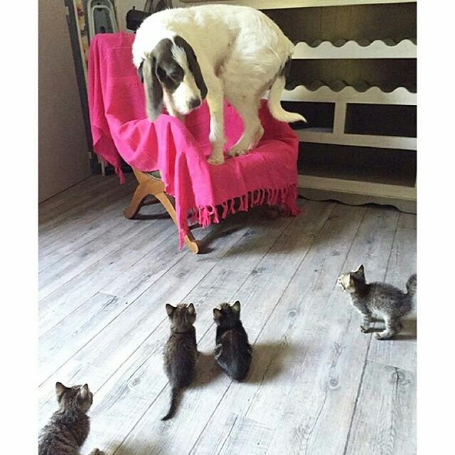 nada69000's tweet image. 