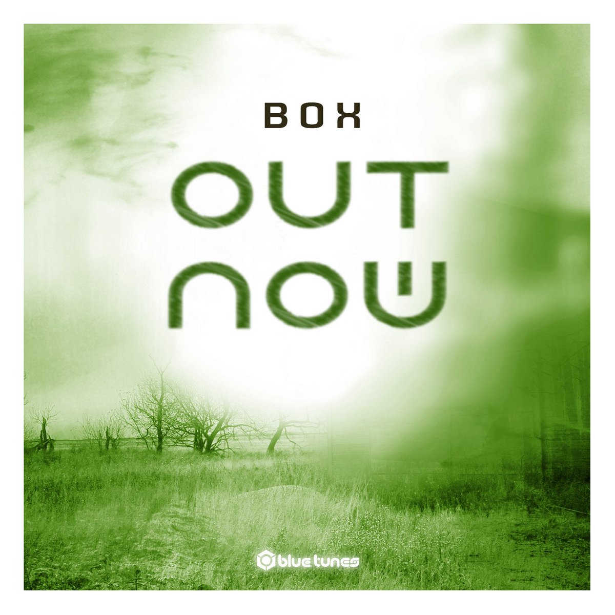 Out Now Box is available in all digital stores!

bluetunesrecords.lnk.to/outnowbox