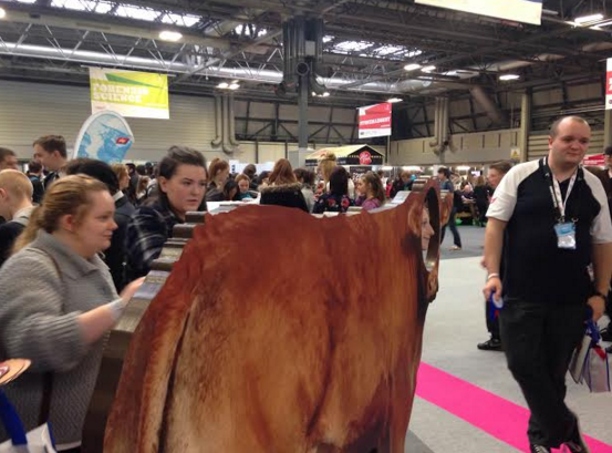 ABPFuture's tweet image. So much to see and do @SkillsShow today - come in from the cold and join us on the #abpfutures stand!
