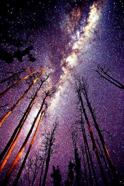 Jogider Ahuja (@jogahuja) on Twitter photo 