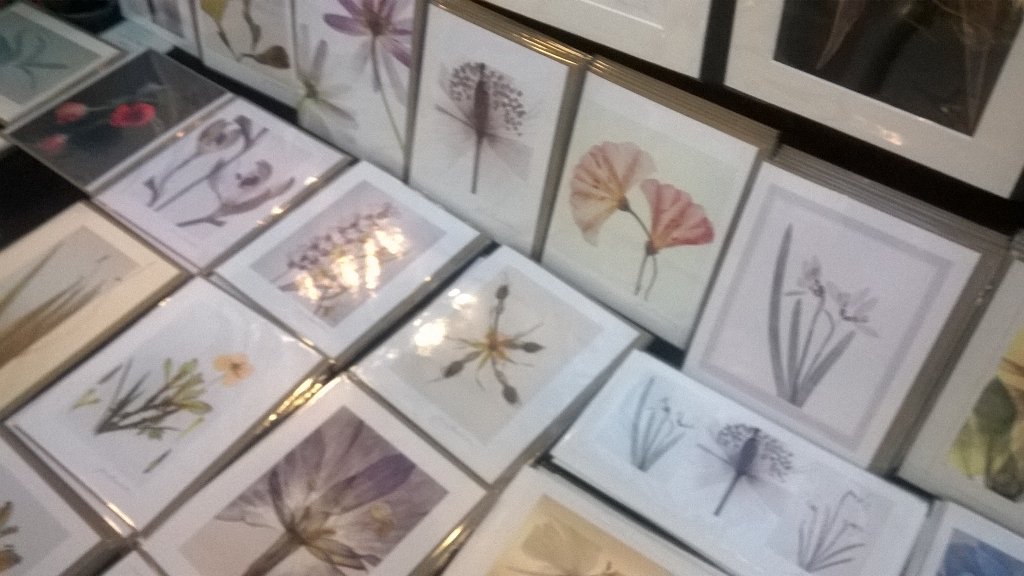 HampSunMarket's tweet photo. Open tomorrow at 10am with lots of lovely stalls selling lots of lovely goodies! :-) https://t.co/Fvb9fTS0iE