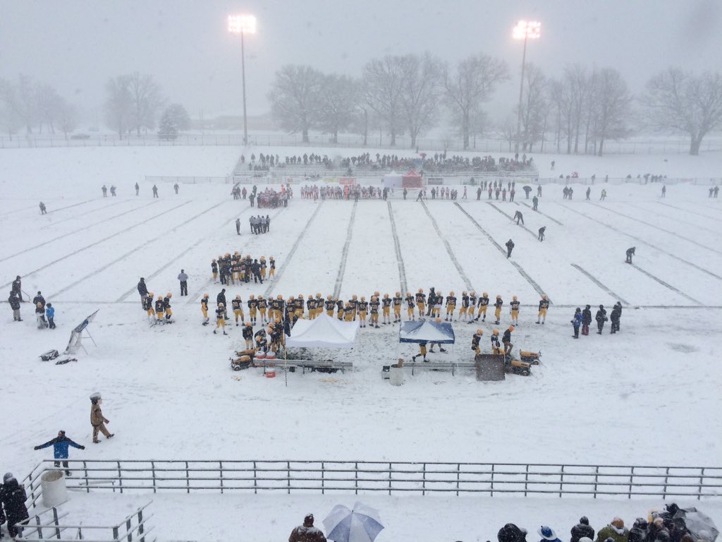 bribull's tweet image. 