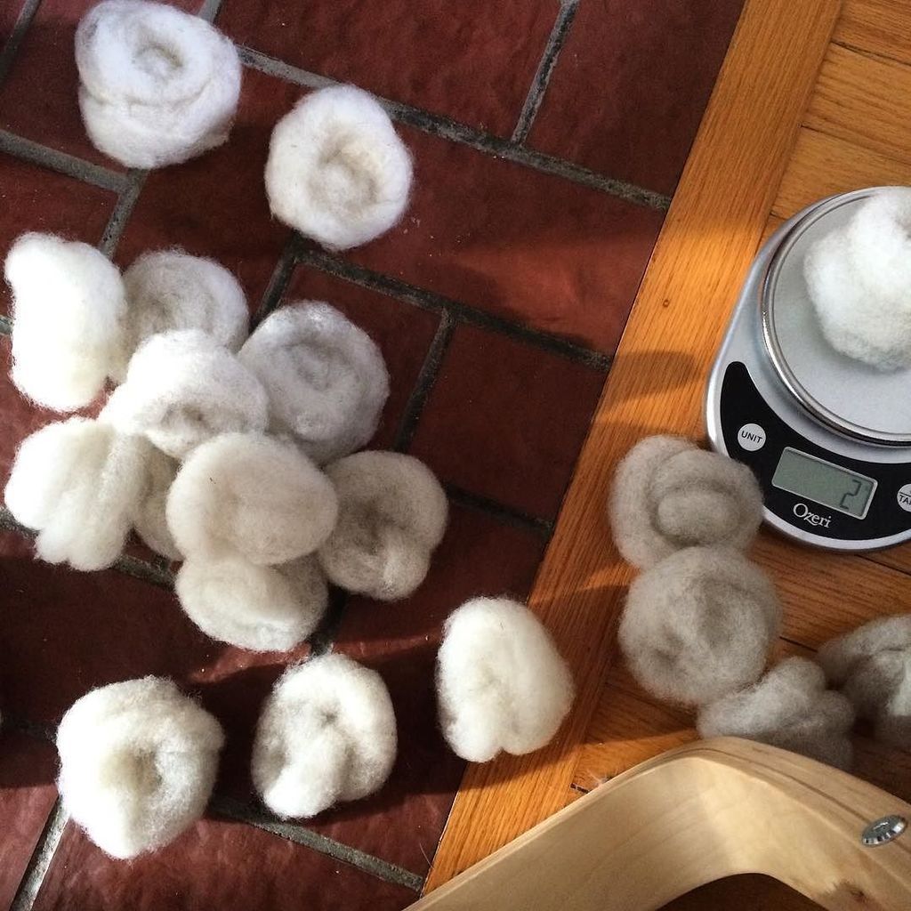 farfromharmfarm's tweet photo. Multiplying like bunnies. #fiberprep #jacobfleece #handcarding #twitter https://t.co/0ywNFJ1Rup