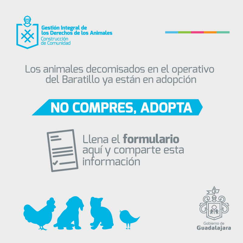 GuadalajaraGob's tweet photo. Los animales decomisados en el #Baratillo están en adopción vía ACs. ¡Registra tu solicitud! https://t.co/qsJRw9V2SG https://t.co/rKSZ5HYCz9