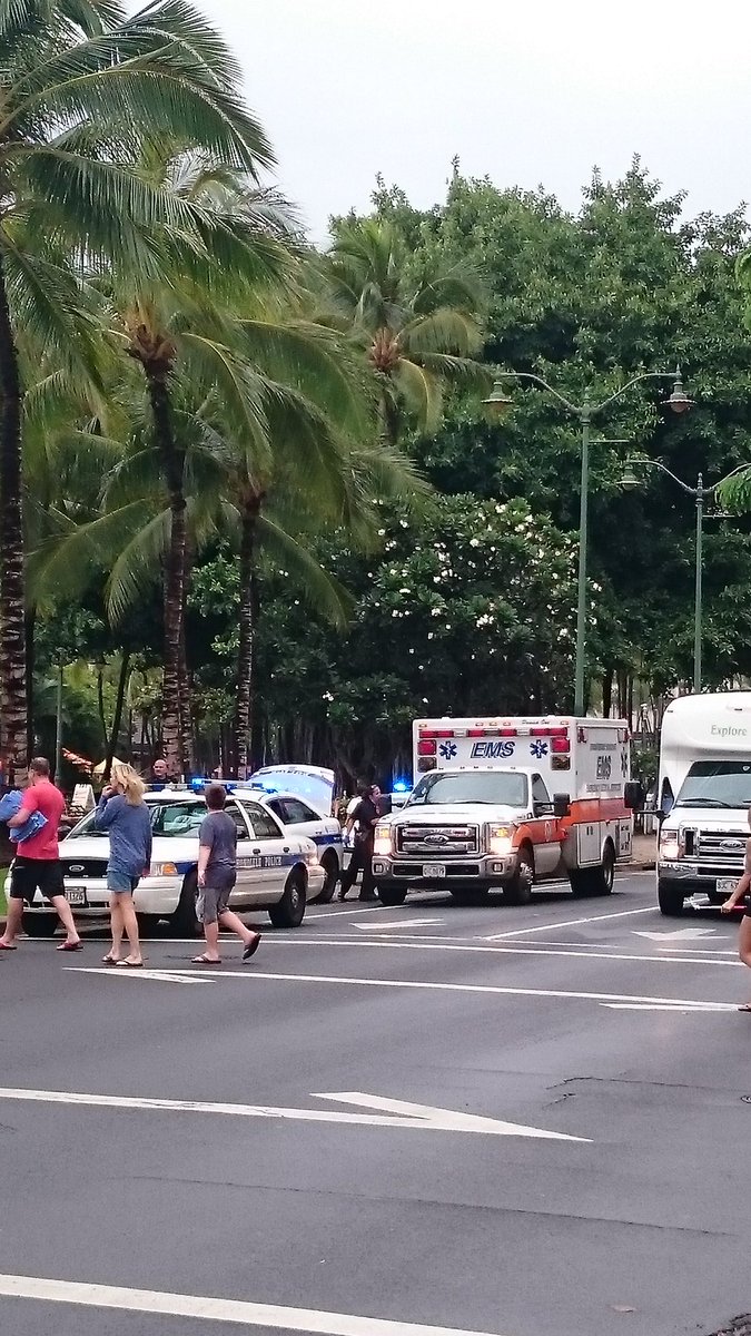 Chloe Pryke tweet media