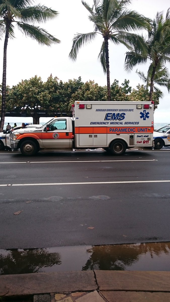 Chloe Pryke tweet media