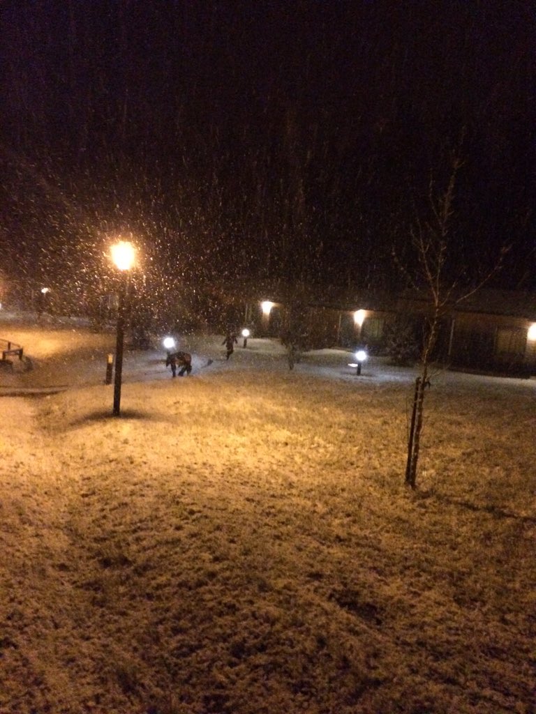 L esprit de noël arrive <a href="/CP_troisforets/">CP</a>