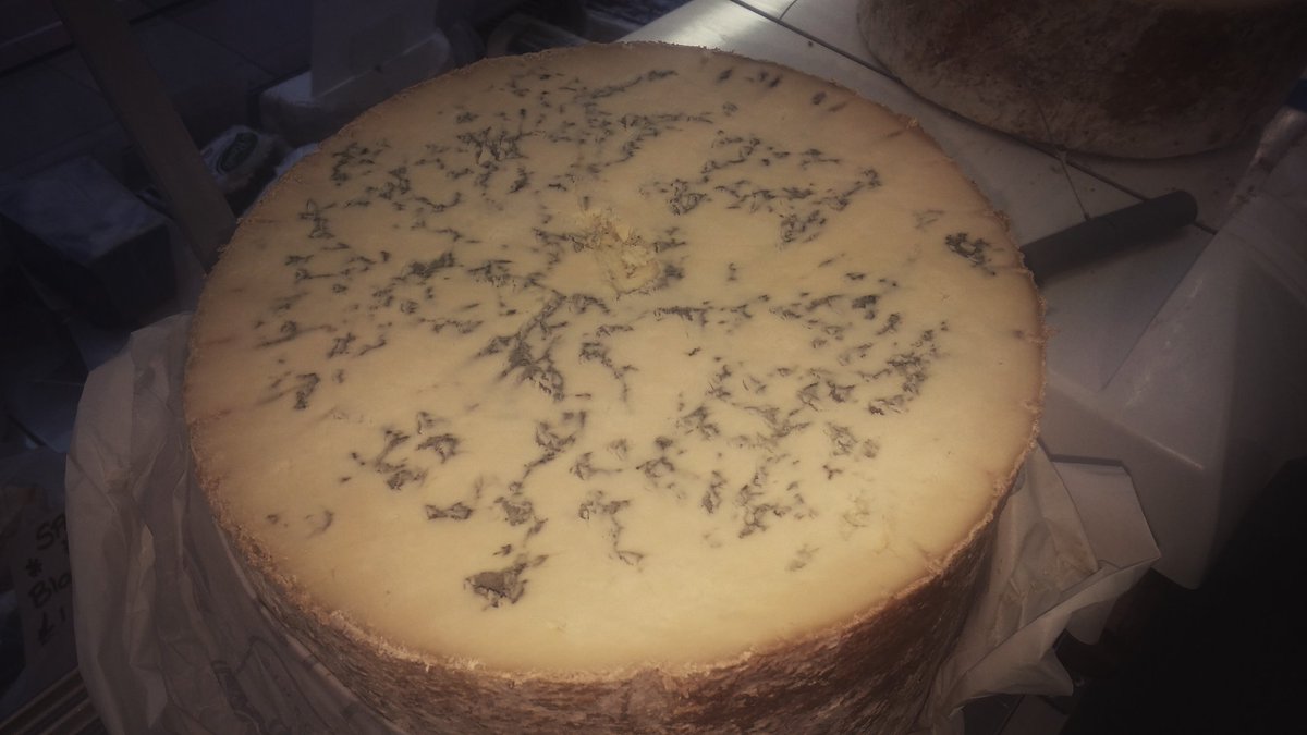 matthewscheese's tweet photo. https://t.co/J2PdwRbfbS