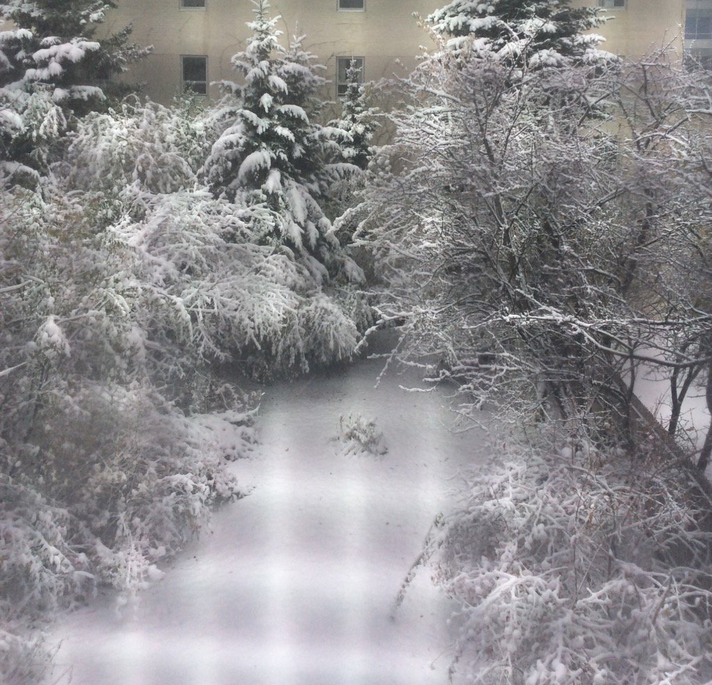 iharp4u2's tweet image. Think l'll stay in and practice... #wisconsinwonderland