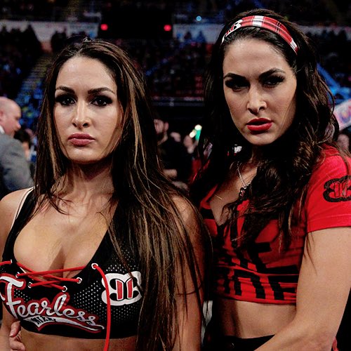 Happy Birthday Brie and Nikki Bella  