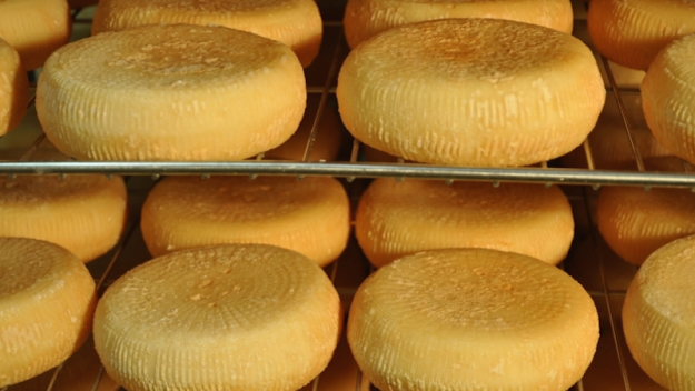 Terresdici's tweet photo. #Fromage #GMS La Coopérative laitière du Pays Basque défit la #distribution
et lève 340 000€ https://t.co/Tr3wXemeE2 https://t.co/NxhyJbZpgK