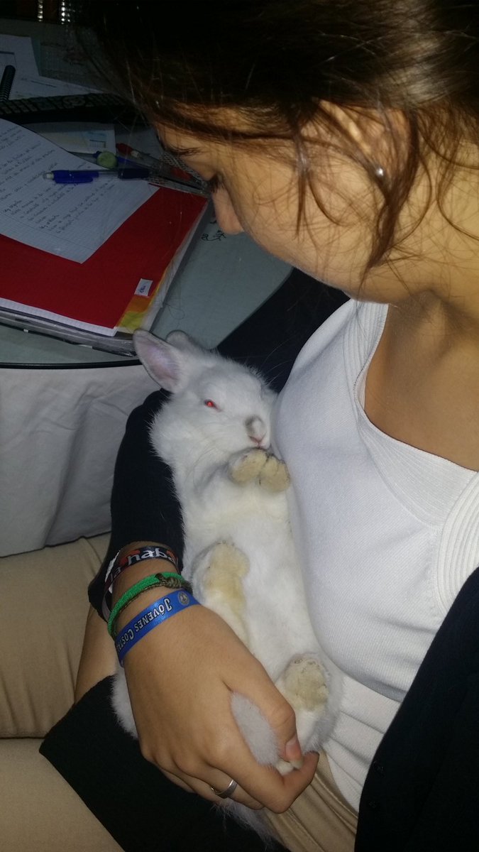 CantMagdalena's tweet photo. Mi niño❤ #pochie https://t.co/zEM6VbooTc