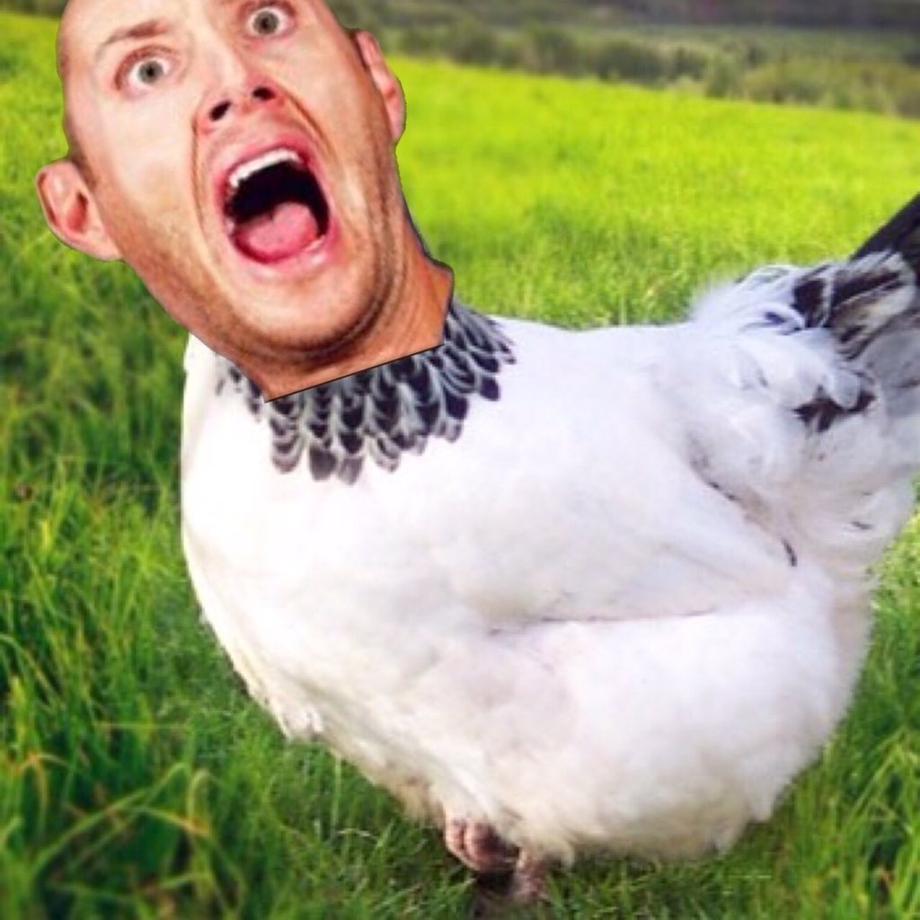 — Dean. . .? We need to talk. . . [<a href="/GallantFerocity/">Ｄｅａｎ．</a>]