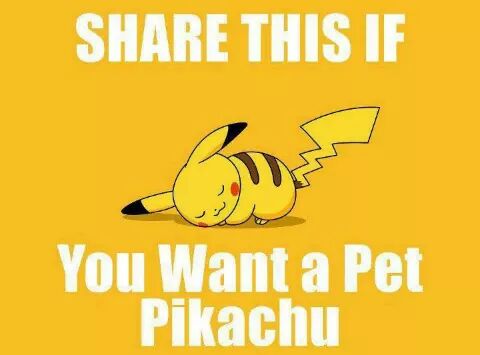 animotivation's tweet photo. RT this if you want a pet Pikachu for Xmas. #pokemon https://t.co/UUH62HXrbz