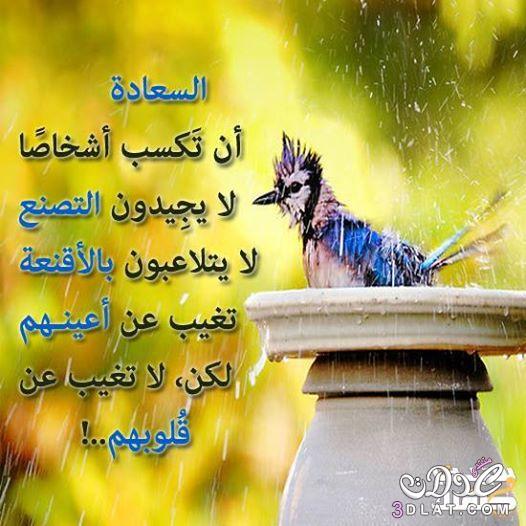 وردة الجوري (@murkal123) on Twitter photo 