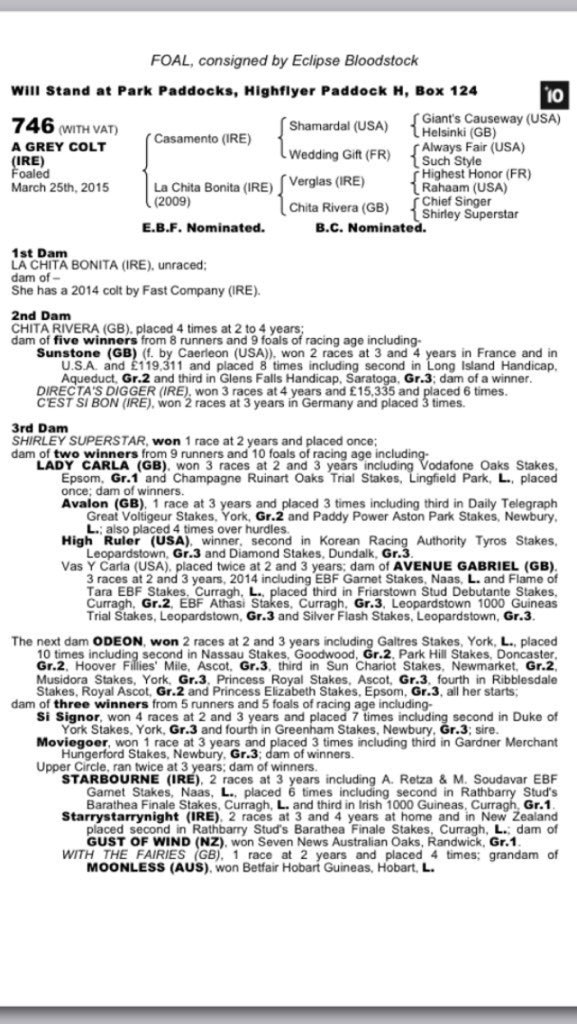 Eclipse_uk's tweet photo. Lot 746 colt by @DarleyStallions Racing Post Trophy w Casamento from family of Oaks w Lady Carla #markyourcatalogue https://t.co/XHDJ52xTH6