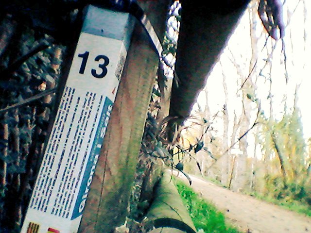 riures's tweet photo. Cursa d'orientació per les hortes de Sta.Eugènia amb els RING's @aeigjoanpons  #descobertaentorm #xqsocials https://t.co/cJmMDvDK4L