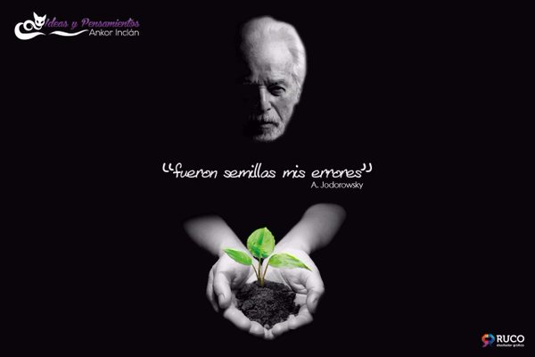 JungYPsicologia's tweet photo. "Fueron semillas mis errores" @alejodorowsky https://t.co/7I32xzxEVK