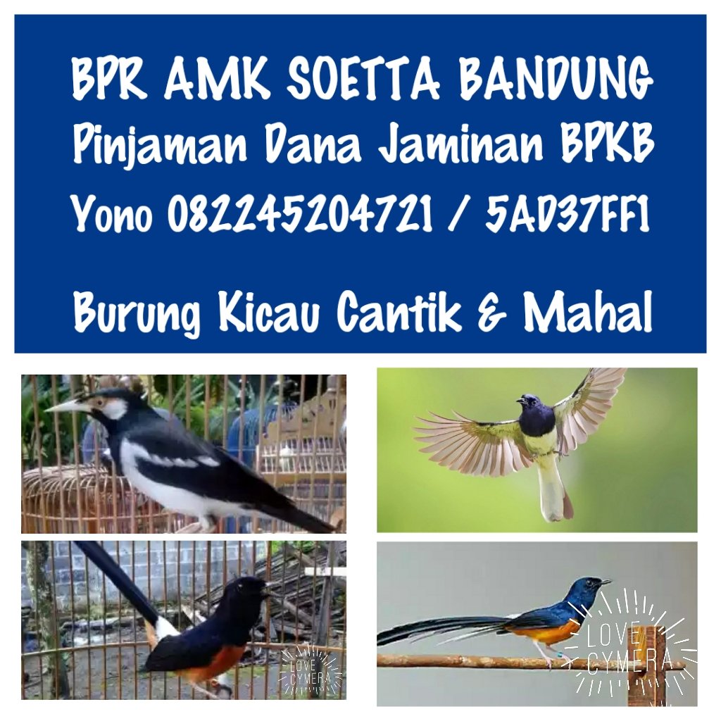 massastrobck's tweet image. Dlm hidup ada bnyk rasa...dlm hidup ada bnyk warna... dulu hidupku banyak warna...skrg hidupku bnyk rasa...