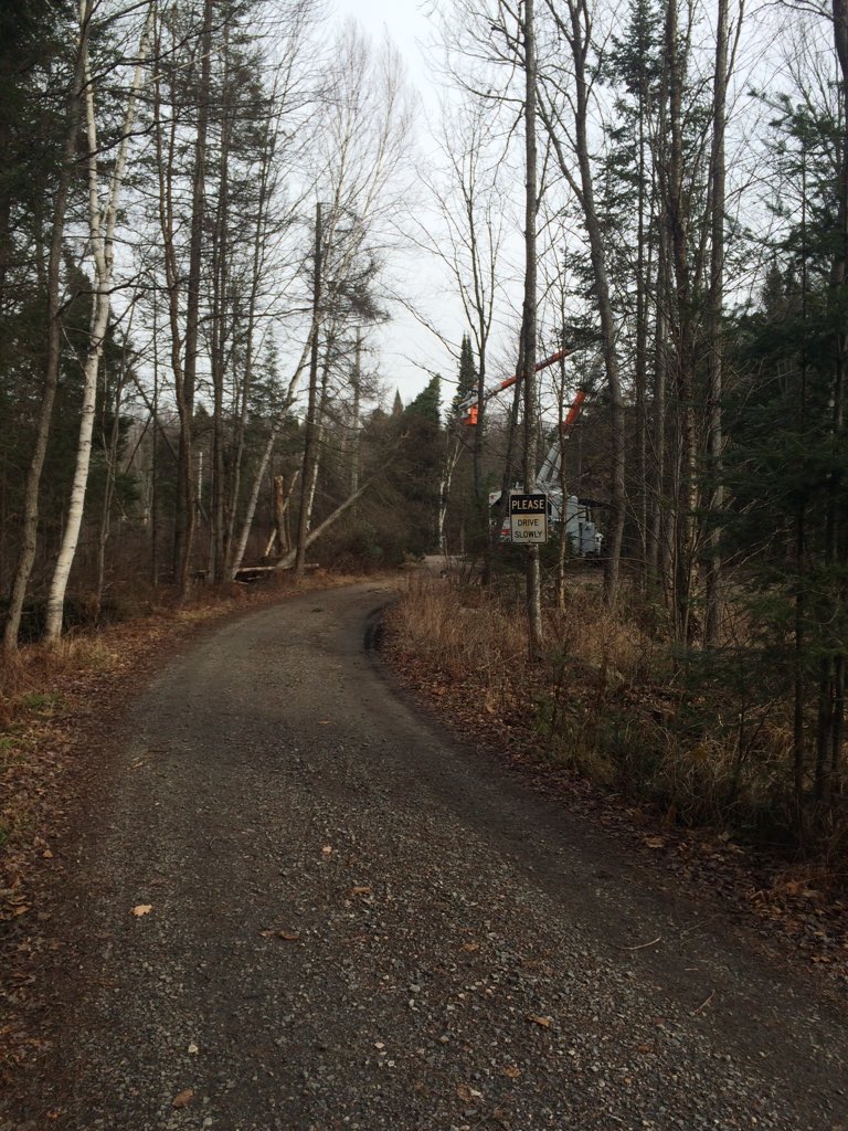 Thanks <a href="/HydroOne/">Hydro One</a> for such a speedy response to the downed tree on the lines.