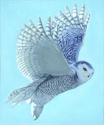 bHopeHasWings07's tweet photo. So pretty... Imagine if humans had wings and could fly https://t.co/IVdlk5FuDp