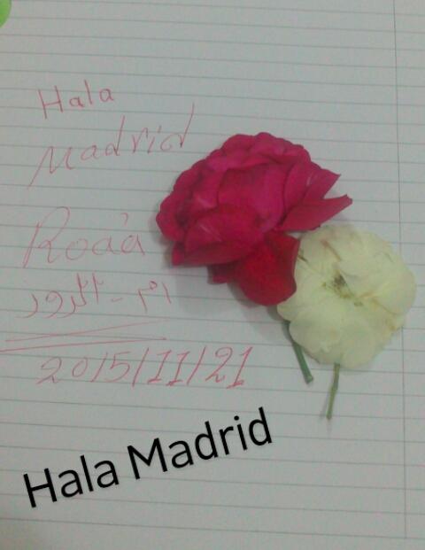 CUWbiBNWIAAjOfM.jpg:large