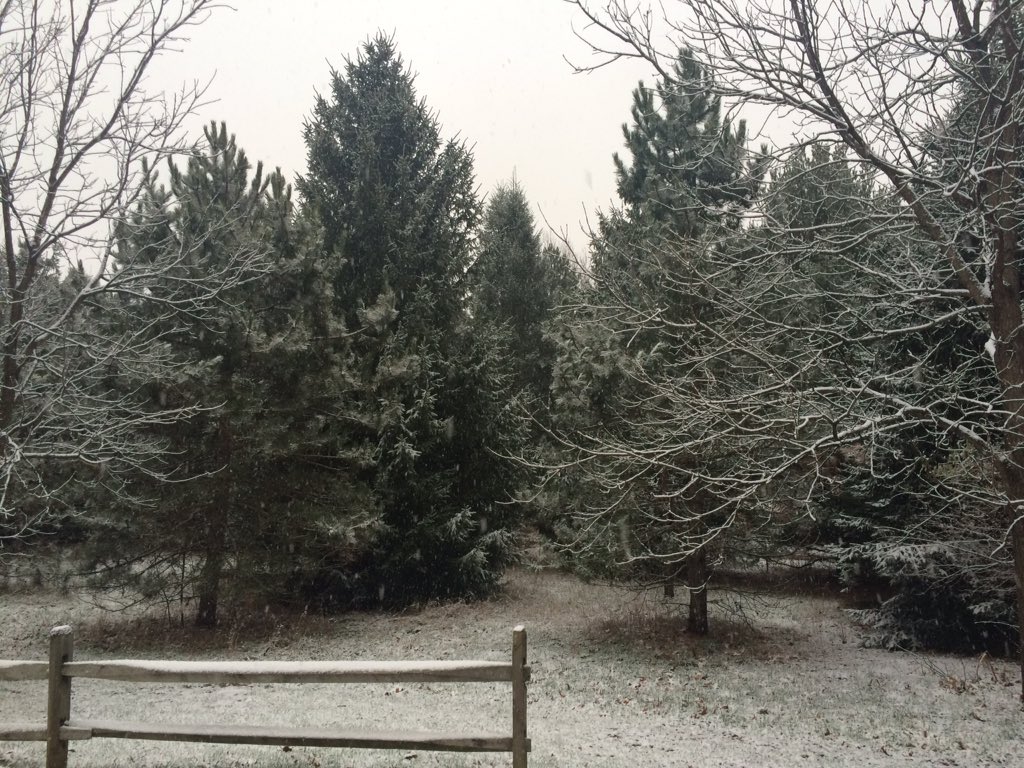 NFTYMI_PVP's tweet photo. Fall Kallah... Or winter? ❄️☃💙 https://t.co/DTEQ0d2uMi