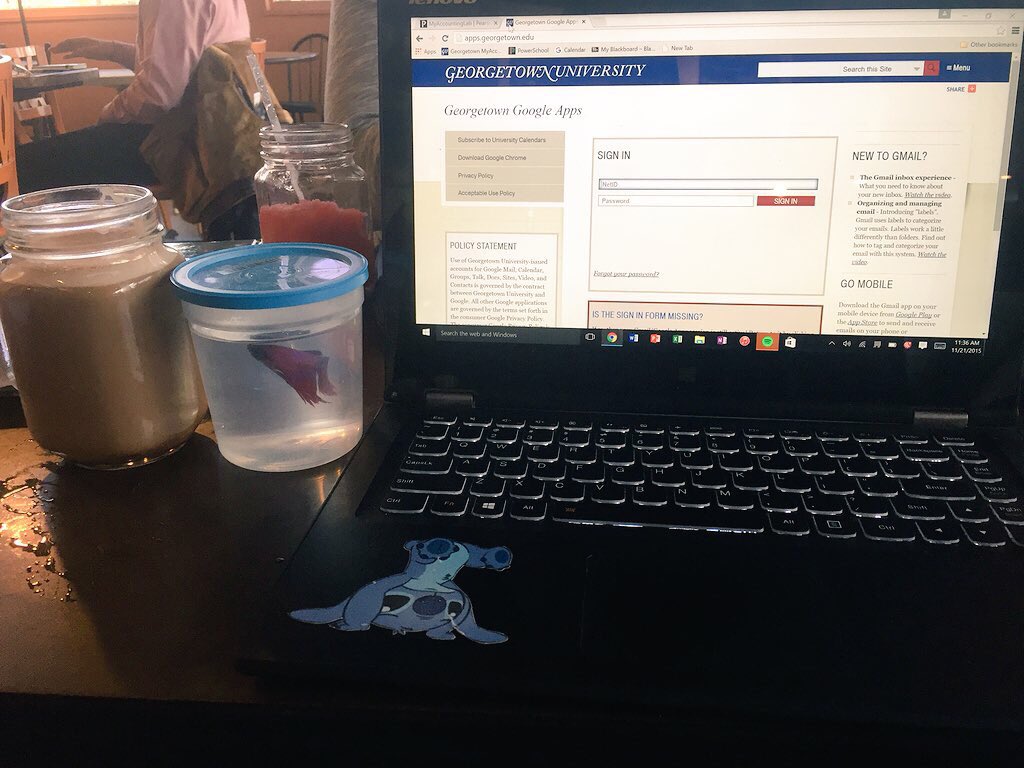 HoyaSoftball's tweet photo. Taking a study break! Stay tuned for more action from Stew #WIFT #Stewdious https://t.co/eStQO61RNZ
