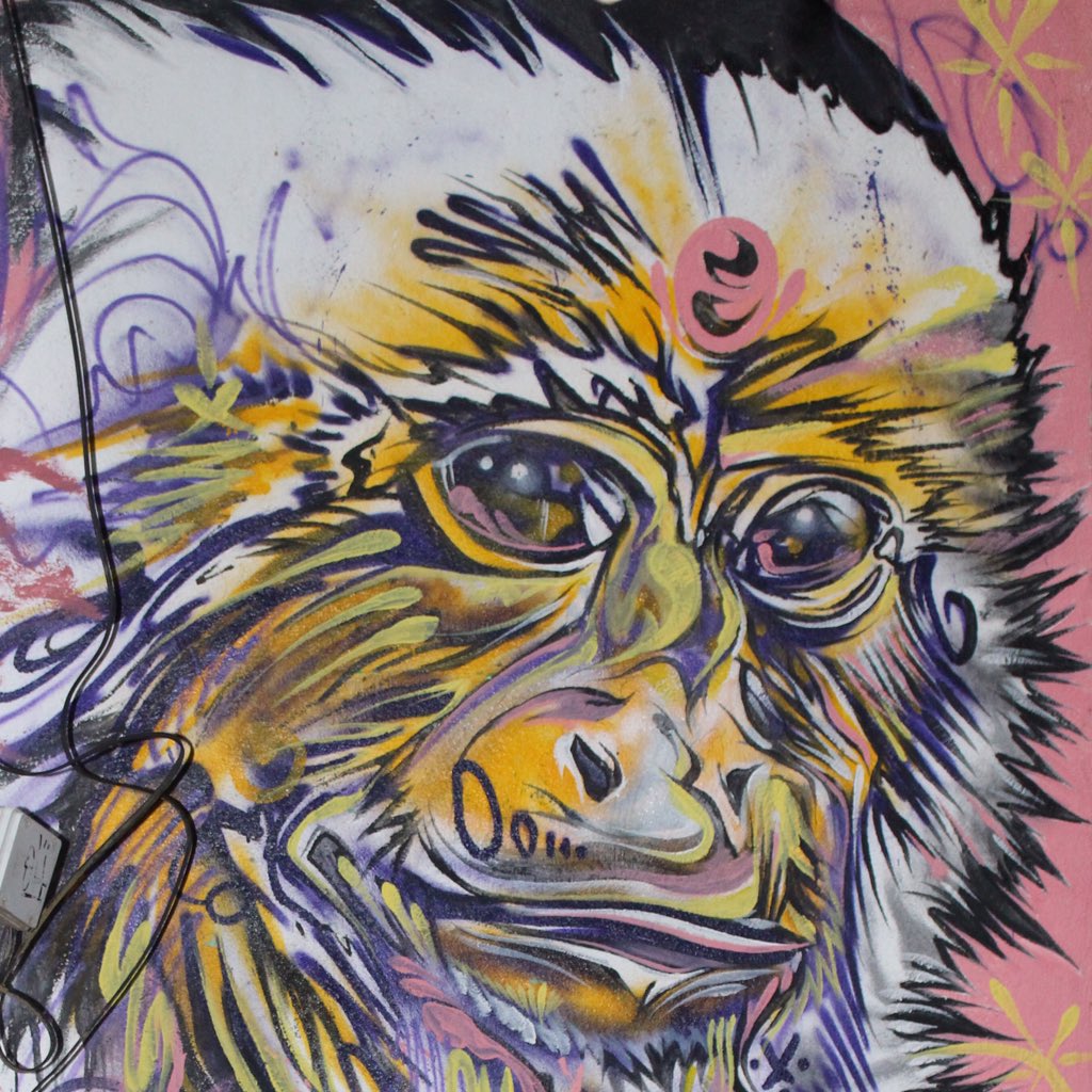 Vegan_ST's tweet photo. 🐒 El mono loco en Santa Teresa, Costa Rica 🇹🇭 #graffiti #art #santateresa #costarica https://t.co/Cjl1DsiteT
