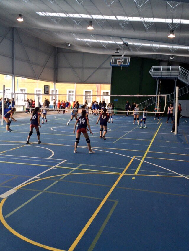 VoleibolRGCC's tweet photo. #Inf2002RGCC y el #Inf2015RGCC perdieron por 3-0 en @lacalzadavoley y C.Inmaculada respectivamente #RGCC #somosgrupo https://t.co/dNGLOMckd1