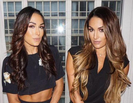 Happy 32nd Birthday, Nikki and Brie Bella Celebrate With the WWE Divas ... - E! Online  