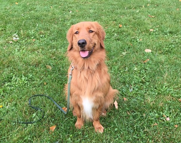 Norm Kelly tweet media