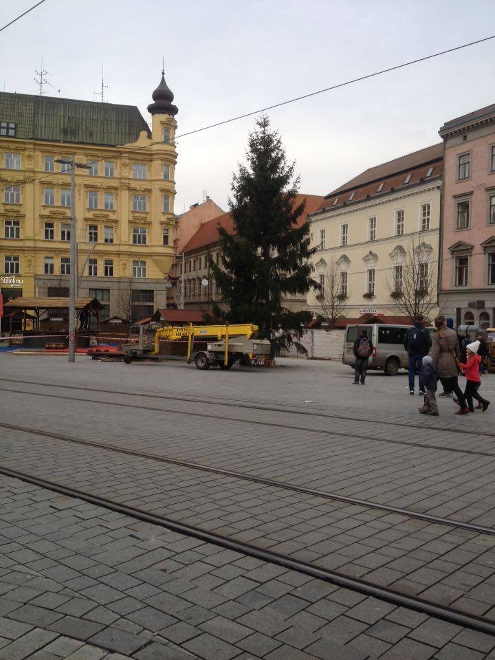 VaseVanoce's tweet photo. Na Moravském náměstí a náměstí Svobody se pokračuje v adventních přípravách! #VaseVanoce https://t.co/Wlsi4MzxNd