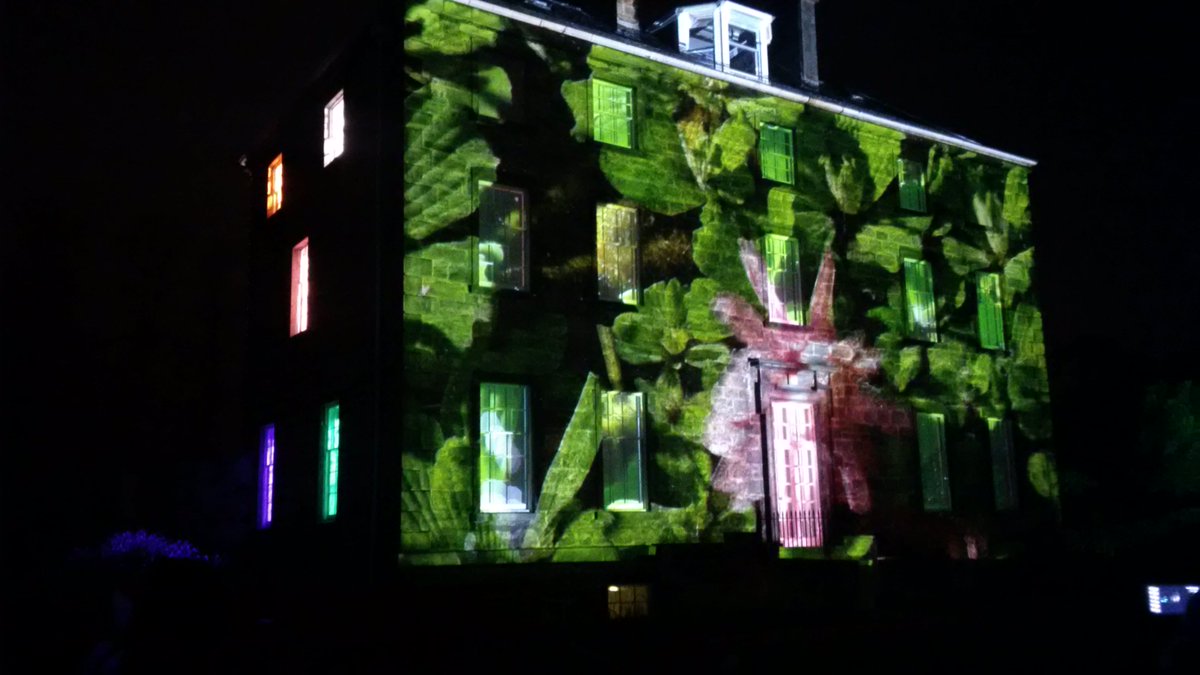 stephenrthomson's tweet photo. @BotanicLights #BLWinter 💟 https://t.co/SXnIab5n1T