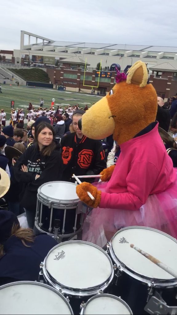 jquad2014's tweet photo. #zipsgameday from the greatest mascot in the world! #Zippy #BeatBuffalo https://t.co/d2mCuoF2CV