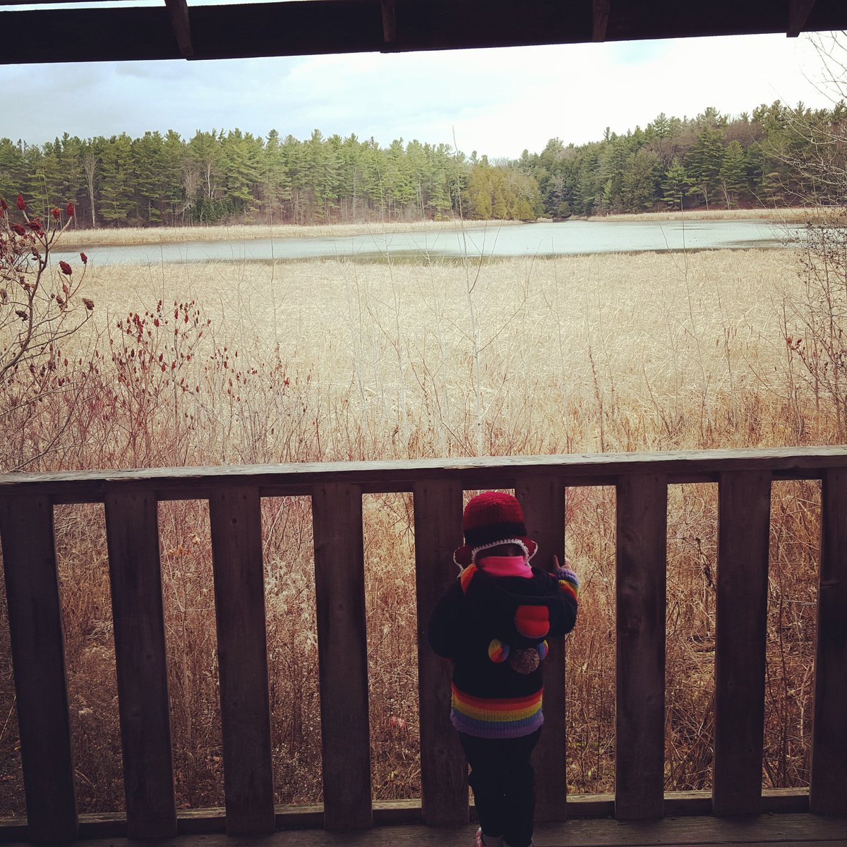 jimkb24's tweet photo. Saturday at #ParrotsBay #Conservation https://t.co/w4ZFPyHtkR